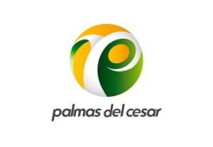 Aliado estratégico - Palmas del cesar